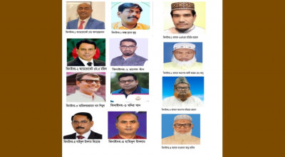 ভোট সামনে রেখে ঝিনাইদহে মাঠে আছেন যারা